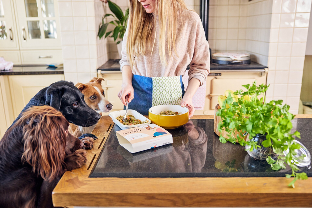 Three dogs patiently waiting for a bowl of freshly cooked Different Dog food