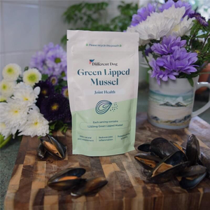 Green Lipped Mussel