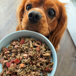 Best dog delivery food outlet