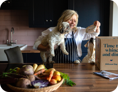 Dog waiting for food