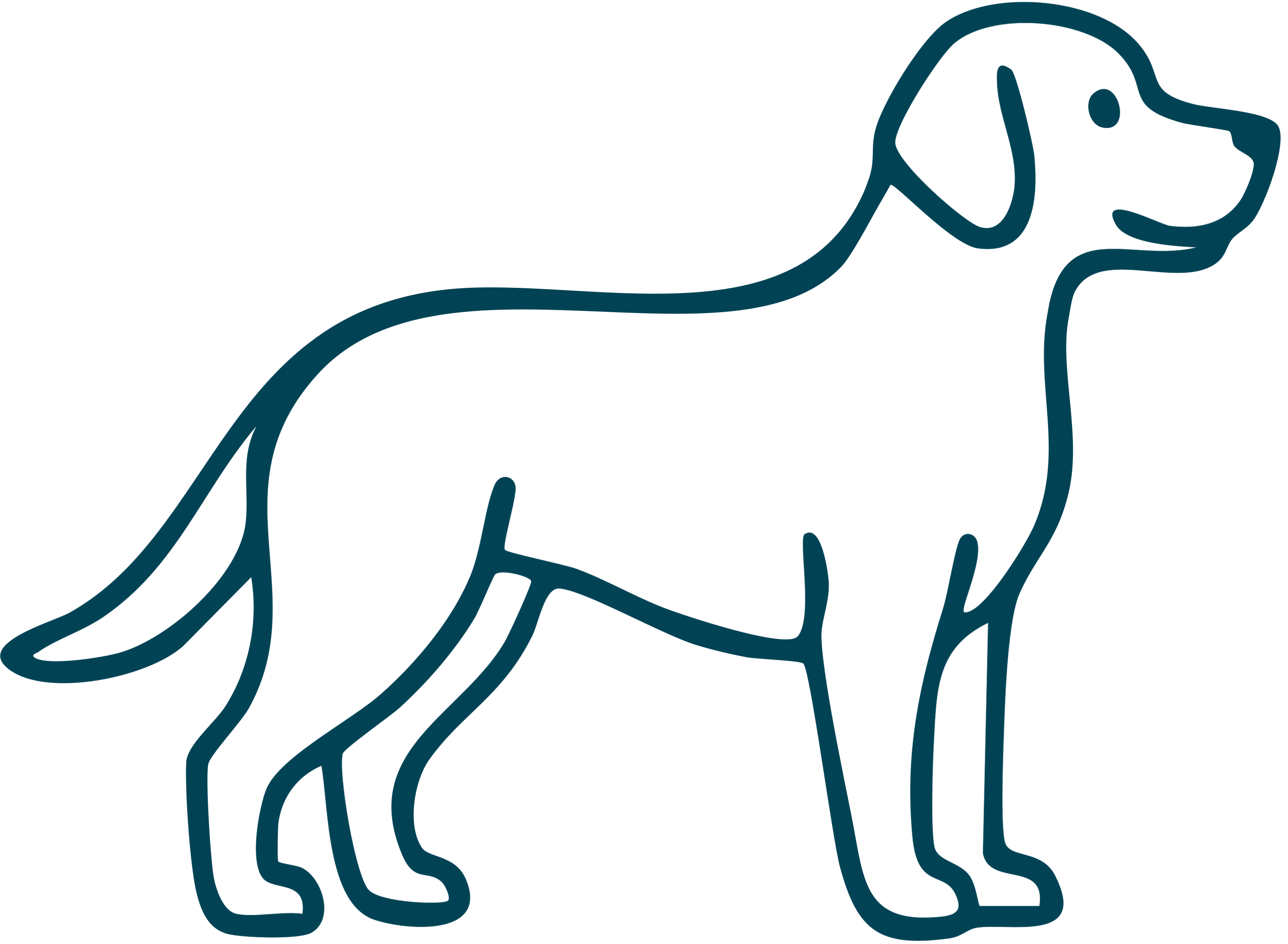 Large dog