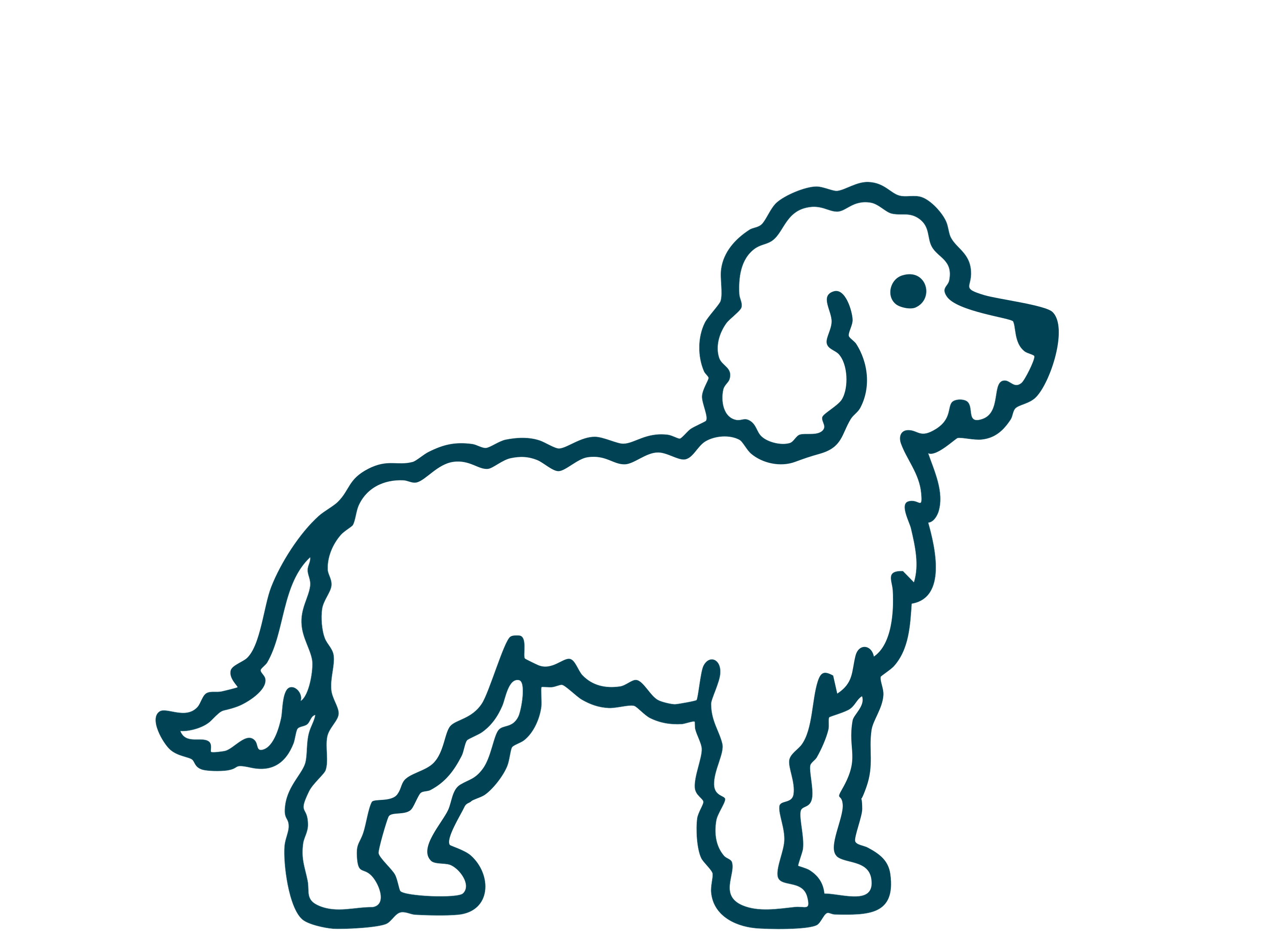 Small dog
