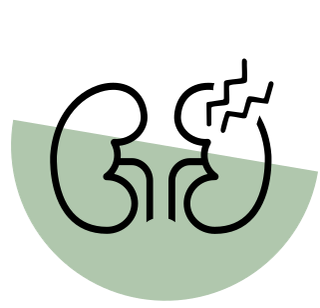 Digestion