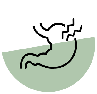 Digestion