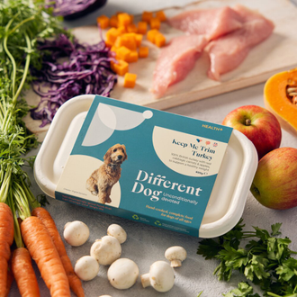 Turkey Fricassee
