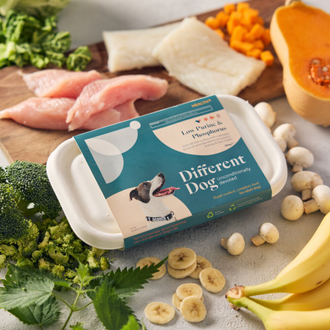 Fresh dog food companies best sale