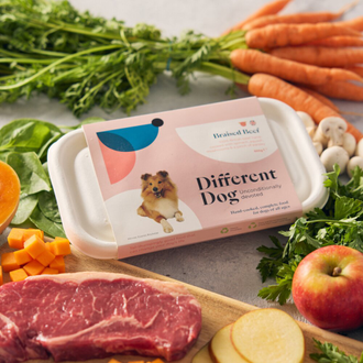 Our Fresh Dog Food Recipes | Homemade Dog Food | Different Dog