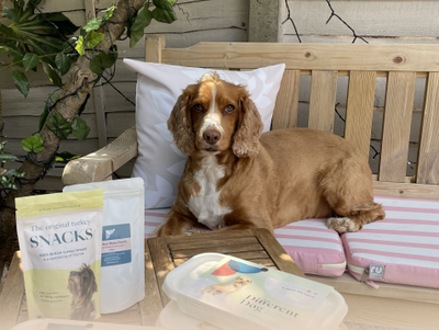 Oz in the garden with packs of Different Dog