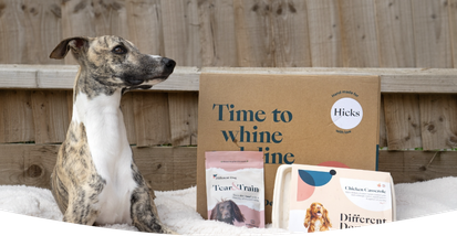 A dog patiently waiting for a bowl of freshly cooked Different Dog food