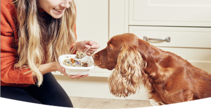 A dog patiently waiting for a bowl of freshly cooked Different Dog food
