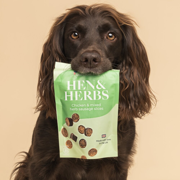 A woman holding a bag of treats surrounded by dogs