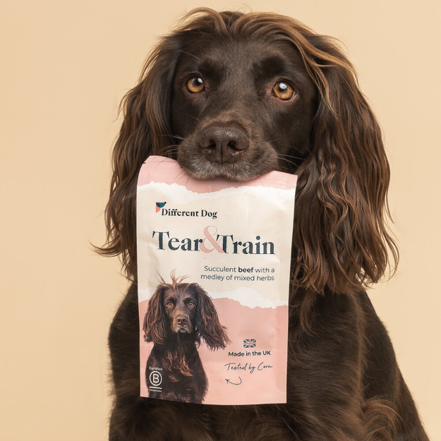 A woman holding a bag of treats while Crumble the dog has a sniff