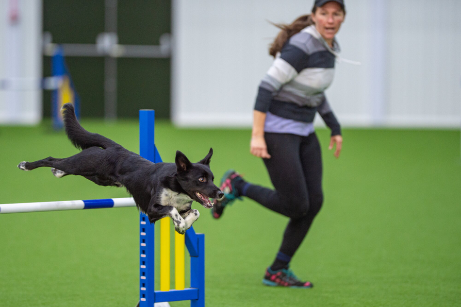 Agility pro Bonnie Quick with her dog Clyde