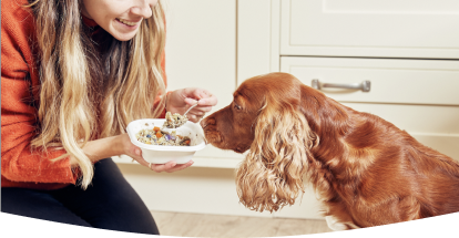 A dog patiently waiting for a bowl of freshly cooked Different Dog food