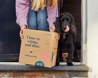 Box of Different Dog food